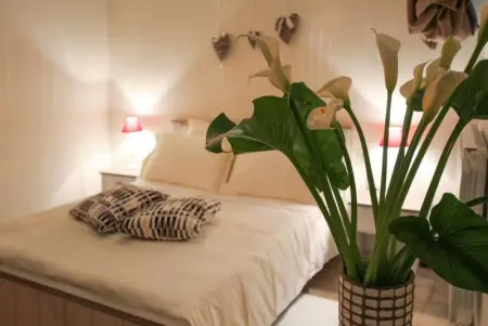 Appartement confortable en cœur d'Alberobello avec cheminée - Photo 8