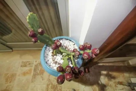 Appartement confortable en cœur d'Alberobello avec cheminée - Photo 34