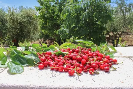Appartement confortable en cœur d'Alberobello avec cheminée - Photo 39