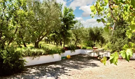 Maison charmante à Ostuni + Jardin, Maison 4 personnes à Ostuni - Photo 21