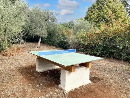 Maison charmante à Ostuni + Jardin, Maison 4 personnes à Ostuni - Photo 22