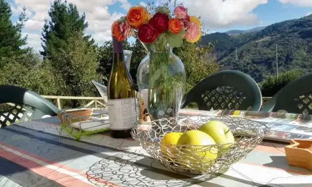 Maison chaleureuse à Grandas de Salime avec vue sur la montagne - Photo 25
