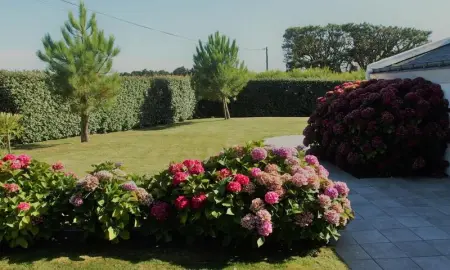 Maison charmante à Bangor avec jardin et cheminée - Photo 14