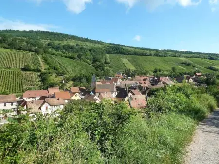 Appartement spacieux à Epfig avec vue sur le jardin - Photo 30