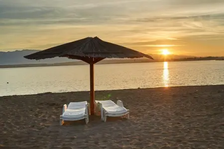 Appartement confortable à Palm-Mar 60 m² avec piscine partagée - Photo 14