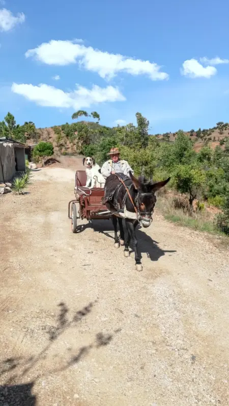 Maison de charme à Alte avec piscine, Maison 4 personnes à Alte - Photo 27