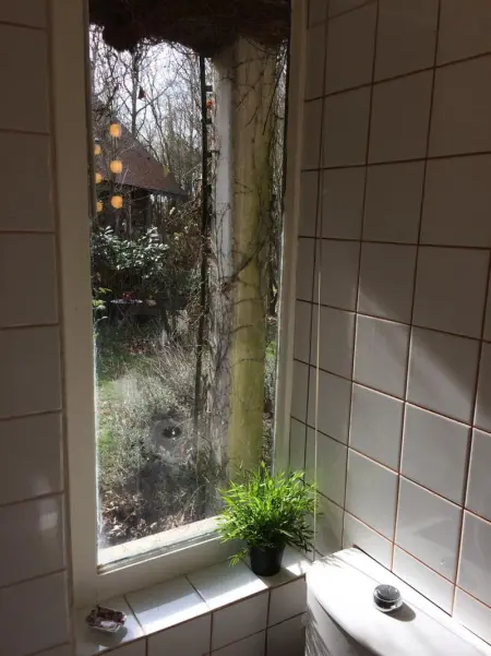 Maison de charme à Saint Branchs avec jardin d'1 hectare - Photo 20