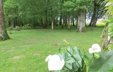Maison de charme à Saint Branchs avec jardin d'1 hectare - Photo 23
