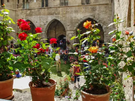 Maison de charme à Mollégès avec piscine privée - Photo 53