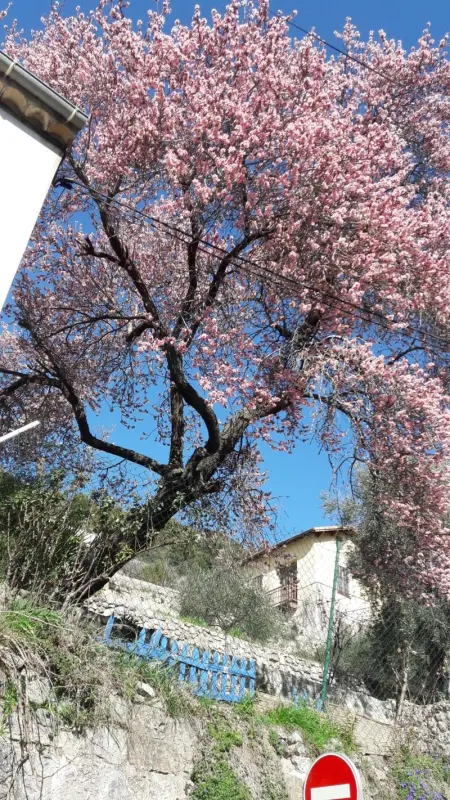 Maison charmante à Peille + jardin, Maison 2 personnes à Peille - Photo 10