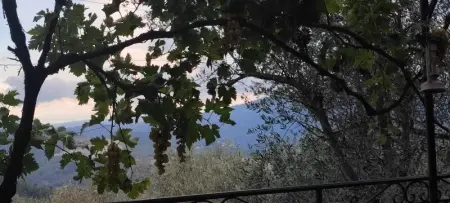 Maison charmante à Peille + jardin, Maison 2 personnes à Peille - Photo 20