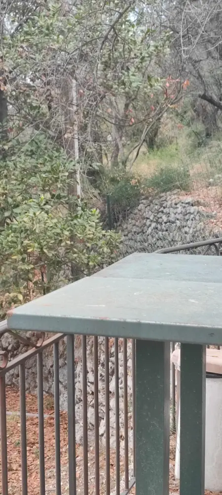 Maison charmante à Peille + jardin, Maison 2 personnes à Peille - Photo 22