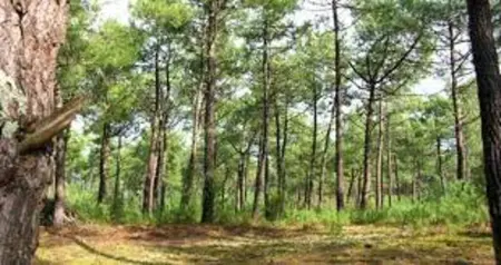Bungalow confortable à Saint-Jean-de-Monts avec piscine - Photo 24