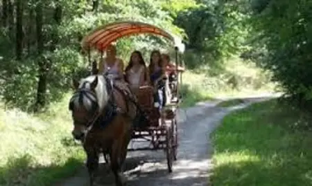 Bungalow confortable à Saint-Jean-de-Monts avec piscine - Photo 28