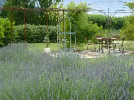 Maison charmante à Oppède avec vue sur la montagne - Photo 19