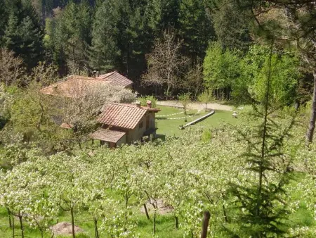 Maison confortable à Bibbiena + Piscine, Maison 4 personnes à Bibbiena - Photo 2