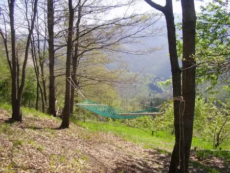 Maison confortable à Bibbiena + Piscine, Maison 4 personnes à Bibbiena - Photo 26