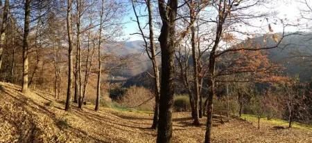 Maison confortable à Bibbiena + Piscine, Maison 4 personnes à Bibbiena - Photo 29