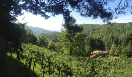 Maison confortable à Bibbiena + Piscine, Maison 4 personnes à Bibbiena - Photo 35