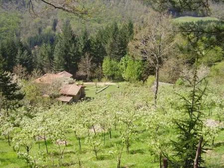 Maison confortable à Bibbiena + Piscine, Maison 4 personnes à Bibbiena - Photo 40