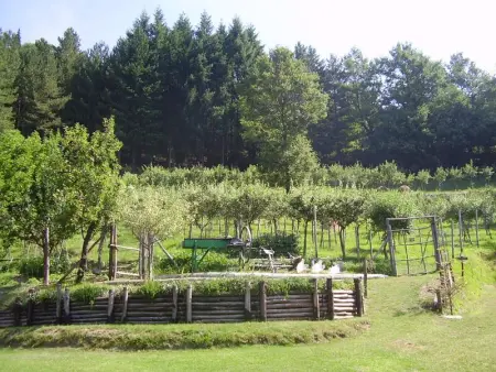 Maison confortable à Bibbiena + Piscine, Maison 4 personnes à Bibbiena - Photo 48