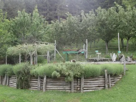 Maison confortable à Bibbiena + Piscine, Maison 4 personnes à Bibbiena - Photo 59