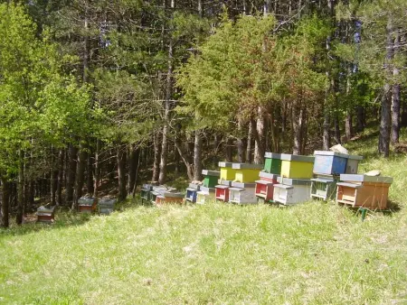 Maison confortable à Bibbiena + Piscine, Maison 4 personnes à Bibbiena - Photo 70