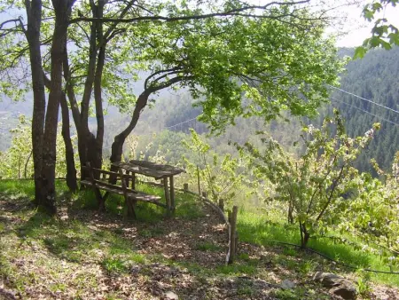Maison confortable à Bibbiena + Piscine, Maison 4 personnes à Bibbiena - Photo 73