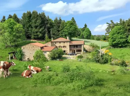 Maison à Saint Hilaire Cusson la Valmitte, Maison rustique à Saint-Hilaire 280m² avec cheminée 14 personnes - L1061990