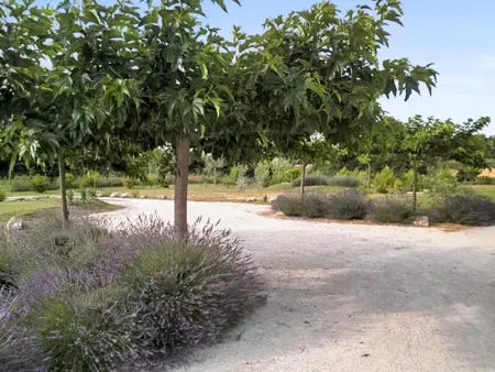 Maison charmante à Oppède avec piscine partagée - Photo 21