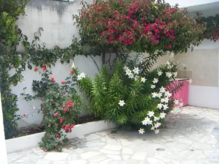 Maison spacieuse à Peniche, Maison 4 personnes à Peniche - Photo 35