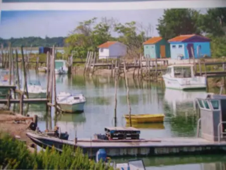 Appartement charmant à Breuillet avec jardin spacieux - Photo 10