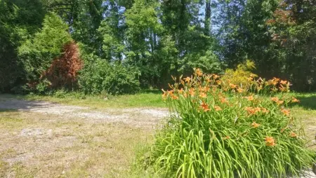 Maison spacieuse à Venansault avec jardin et terrasse - Photo 12