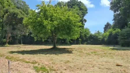 Maison spacieuse à Venansault avec jardin et terrasse - Photo 14