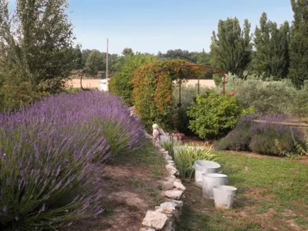 Appartement accueillant avec piscine à Oppède 70 m², vue montagne - Photo 23