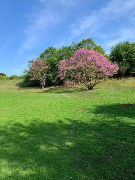 Maison accueillante à La Courneuve avec jardin clôturé - Photo 10