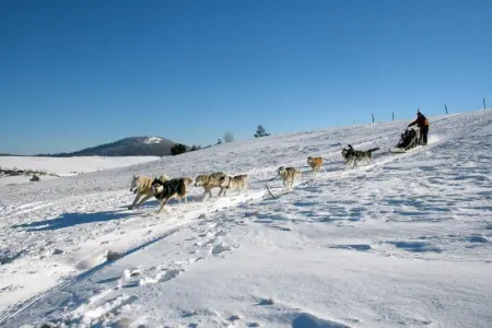 Appartement confortable à Besse - 40 m² avec balcon vue montagne - Photo 9