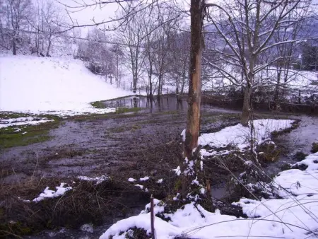 Maison charmante à Chirens avec jardin clôturé - Photo 13