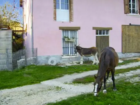 Maison charmante à Chirens avec jardin clôturé - Photo 18