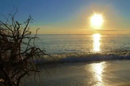 Maison charmante avec vue sur la montagne à Prunelli di Fiumorbo - Photo 26