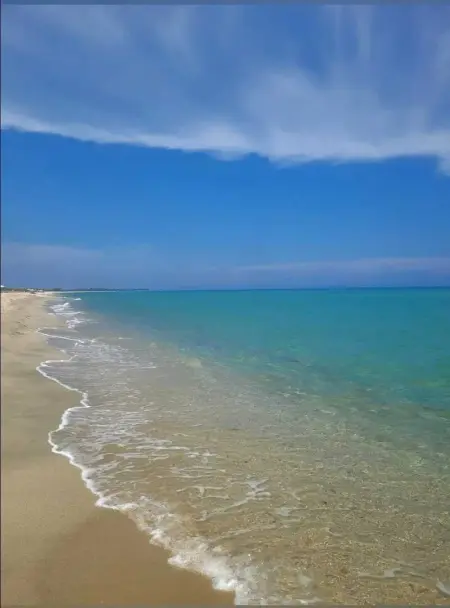 Maison charmante avec vue sur la montagne à Prunelli di Fiumorbo - Photo 31