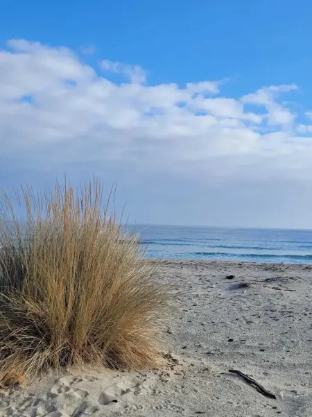 Maison charmante avec vue sur la montagne à Prunelli di Fiumorbo - Photo 32