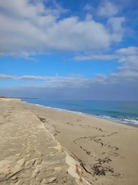 Maison charmante avec vue sur la montagne à Prunelli di Fiumorbo - Photo 33