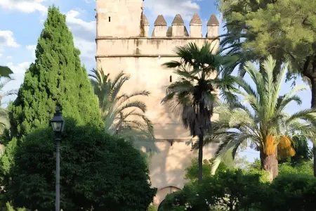 Appartement enchanteur en centre ville de Córdoba, avec parking - Photo 35