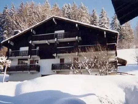 Appartement à Megève, Appartement confortable à Megève - 60 m² - vue sur montagnes - L1062478