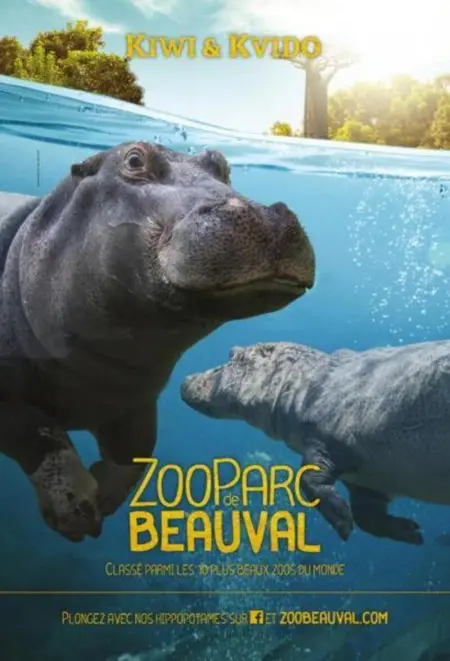 Bungalow charmant Onzain + Piscine, Bungalow 6 personnes à Onzain - Photo 8