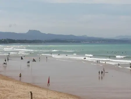 Studio confortable à Guéthary 30 m² avec balcon relaxant - Photo 15