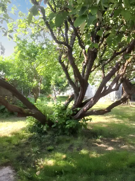 Maison charmante proche de Montlognon avec jardin clôturé. - Photo 10