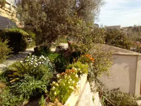 Maison accueillante à Toulon - Jardin privé 90 m² - Photo 5