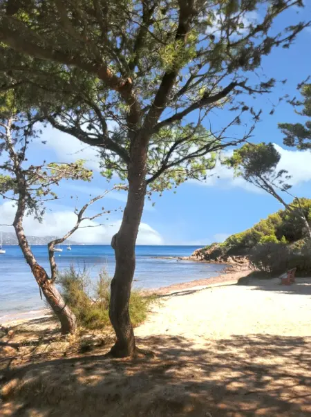 Maison accueillante à Toulon - Jardin privé 90 m² - Photo 10